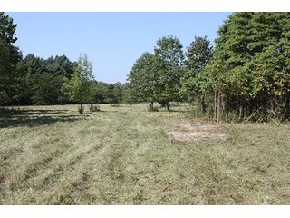 Property photo 76 - 419 +/- Acres offered in 6 Tracts, Land Auction